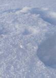 20230119_105819 (Large).jpg (268595 bytes)